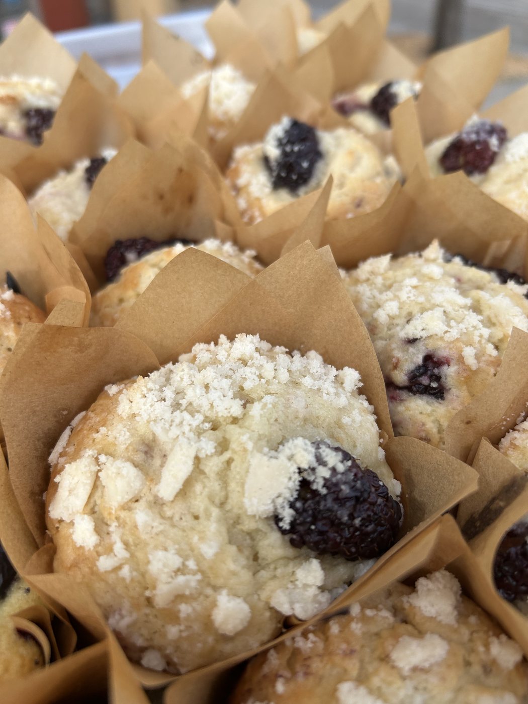 Fresh berry muffin